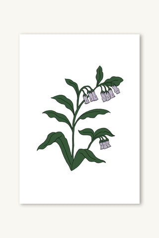 Comfrey Buds III Giclée Print